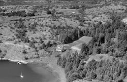 Sorgenfri, Kirkeøy, Hvaler, flyfoto fra august 1957.