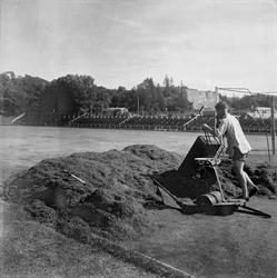 Gressklipping på Lerkendal stadion