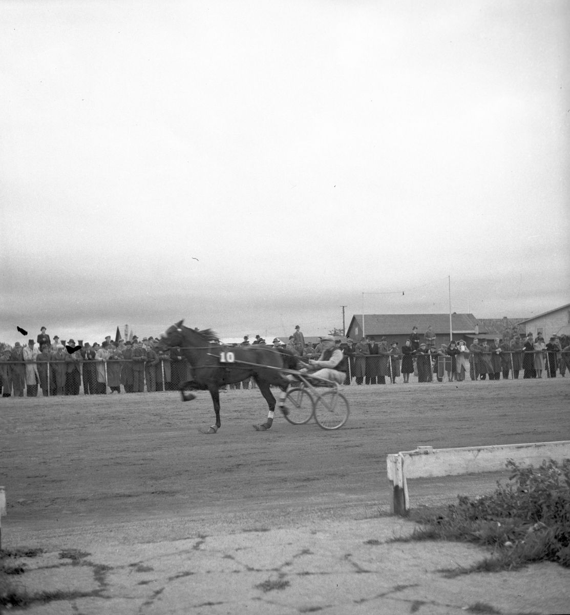 Poängloppet på Gävle Travet.

26 april 1943.