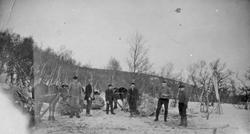 Høykjøring, personer, hest, vogn.