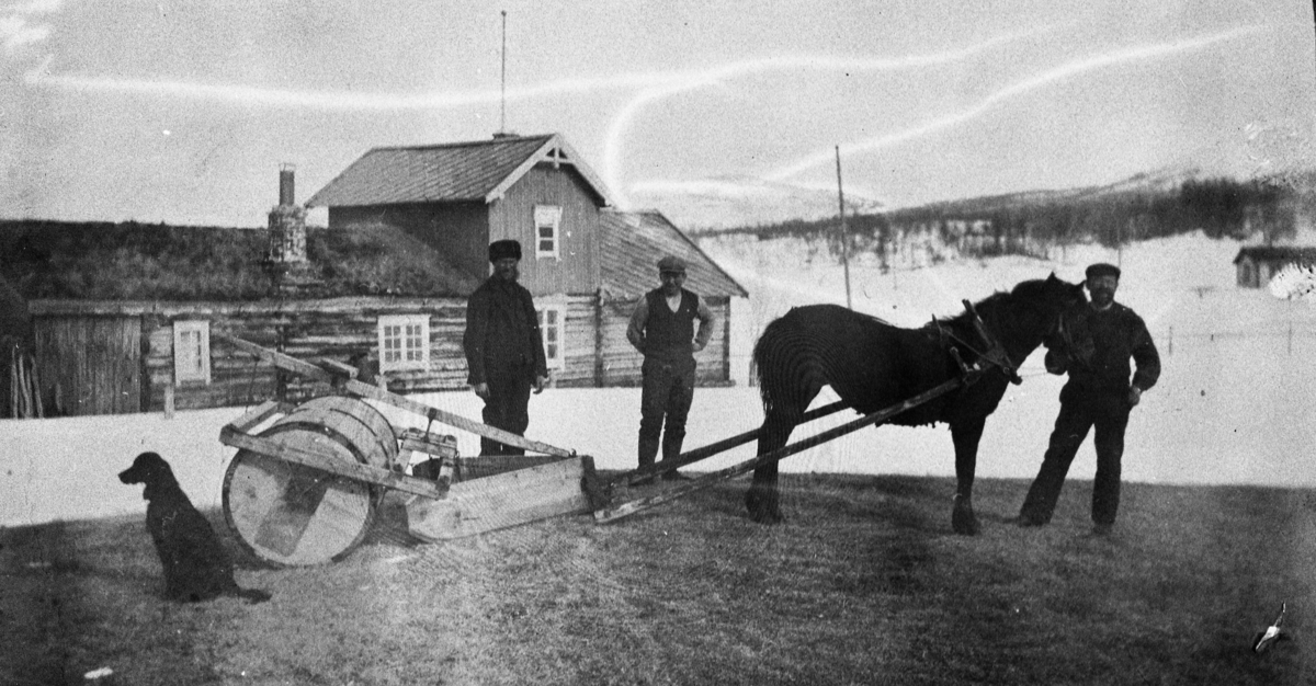 Hesten er spent for en kombinert snøplog og snøveivalse ved Langen i Hitterdalen