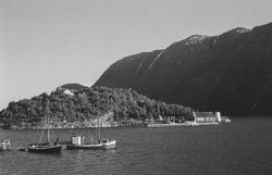 Båter fortøyd på Halsøy, Toppen i bakgrunnen. Tile høyre tan