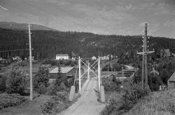 Div. bilder fra Grane.