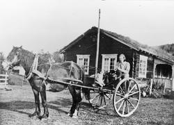 Hest, vogn, person, bygning.