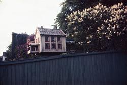 Dueslag i Brinken 31.