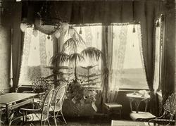 Lysekrone, rottingmøbler, palmer -
 Bilde fra Marie Knudtzon