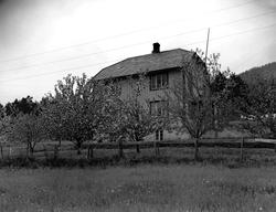 Bolighus med hage og frukttrer. Skogheim på Meisingset. Fra 