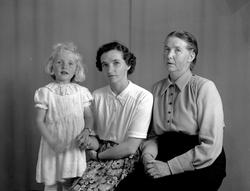 Margit Meisingset Fugelsøy, Inger Meisingset og Tomine Meisi