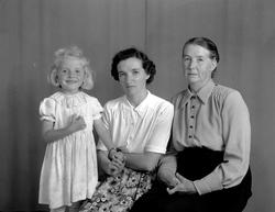 Margit Meisingset Fugelsøy, Inger Meisingset og Tomine Meisi