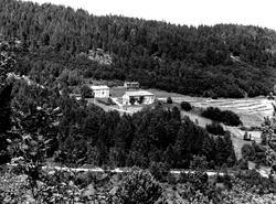 Fra Nordmøre museums fotosamlinger, Halås-arkivet.