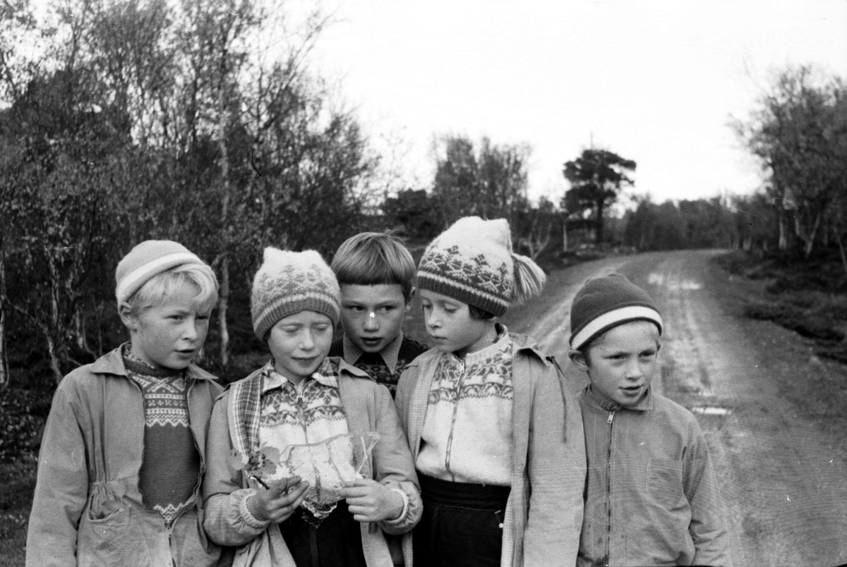 Elever ved Stangnes skole med den første haustisen. Tranøy 1958.
Oddvar Nilssen, Eli Solbø, Arne Fagerhaug, Audhild Solbø og Helge N. Nilssen