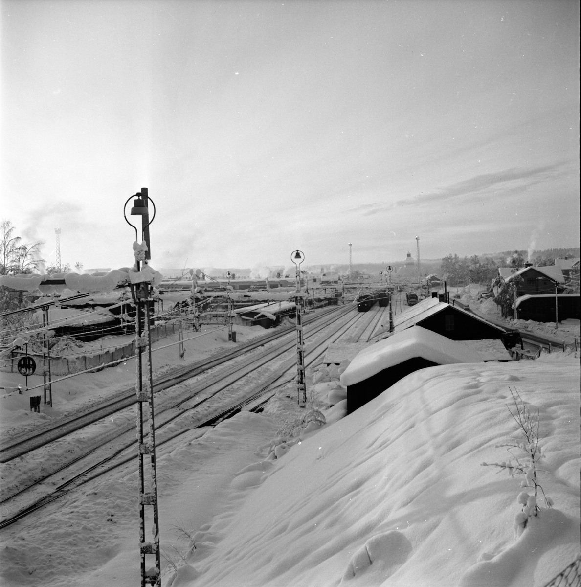Bollnäs,
Älg på Tjärn,
Bilder från Höglundabron,
12 Januari 1967