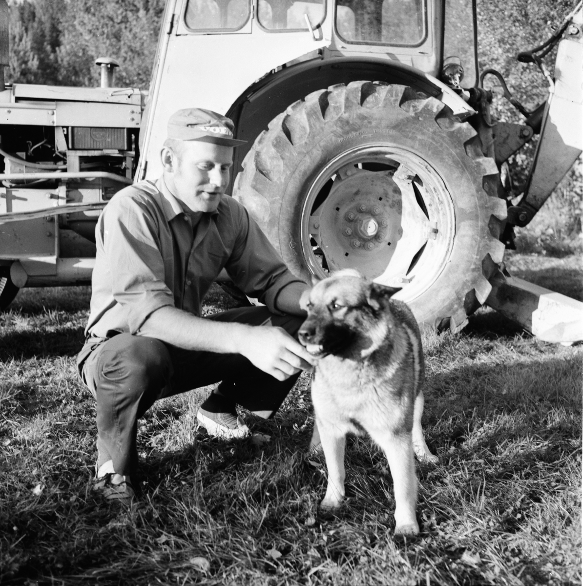 Iste. Vattenfrågan löses.
September 1972
Sölve Jonsson från Flästa med en gråhund/jakthund.