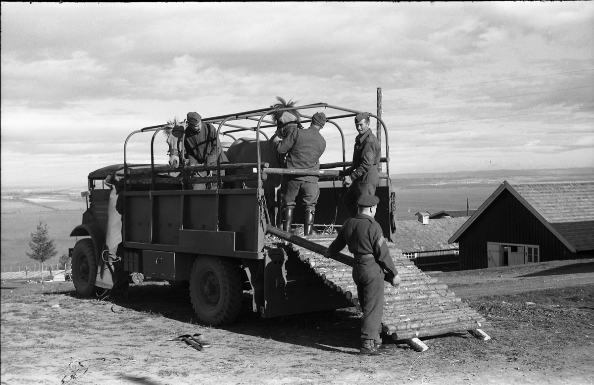 Opplasting av hester på lastebil ved Hærens Hesteskole på Starum september 1948. Serie på 24 bilder. Lengst til venstre på bilde nr. 1 står daværende sersjant Ottar Markeng.
Bildene nr. 1-4 og 17-24 eer trolig fra Hoffsvangen, de øvrige fra Starum Leir.