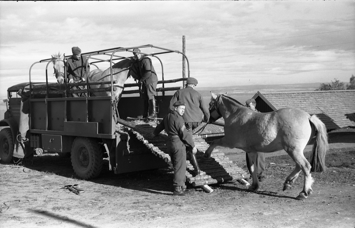 Opplasting av hester på lastebil ved Hærens Hesteskole på Starum september 1948. Serie på 24 bilder. Lengst til venstre på bilde nr. 1 står daværende sersjant Ottar Markeng.
Bildene nr. 1-4 og 17-24 eer trolig fra Hoffsvangen, de øvrige fra Starum Leir.