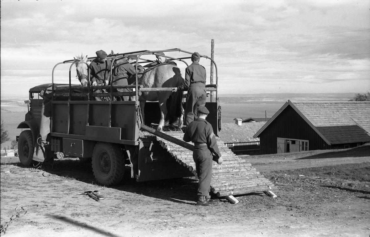 Opplasting av hester på lastebil ved Hærens Hesteskole på Starum september 1948. Serie på 24 bilder. Lengst til venstre på bilde nr. 1 står daværende sersjant Ottar Markeng.
Bildene nr. 1-4 og 17-24 eer trolig fra Hoffsvangen, de øvrige fra Starum Leir.