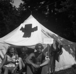 "13 (156)" .(ste181a)