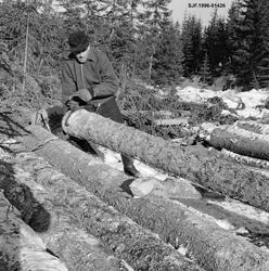 Karinus Loftet bruker kjerring. Rustningen er en Langholenru