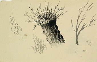 Delar av träd eller buskar.

Enligt liggaren: 85575:1-189: Christine Zelows ritportfölj.