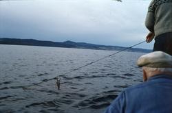 Garnfiske i Randsfjorden utenfor Bruksrud i Bjoneroa. Iver B
