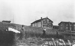 Slåttonn, gardbruk, bygninger