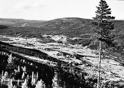 Kulturlandskap, Øvre Rendal sett fra Utsikten