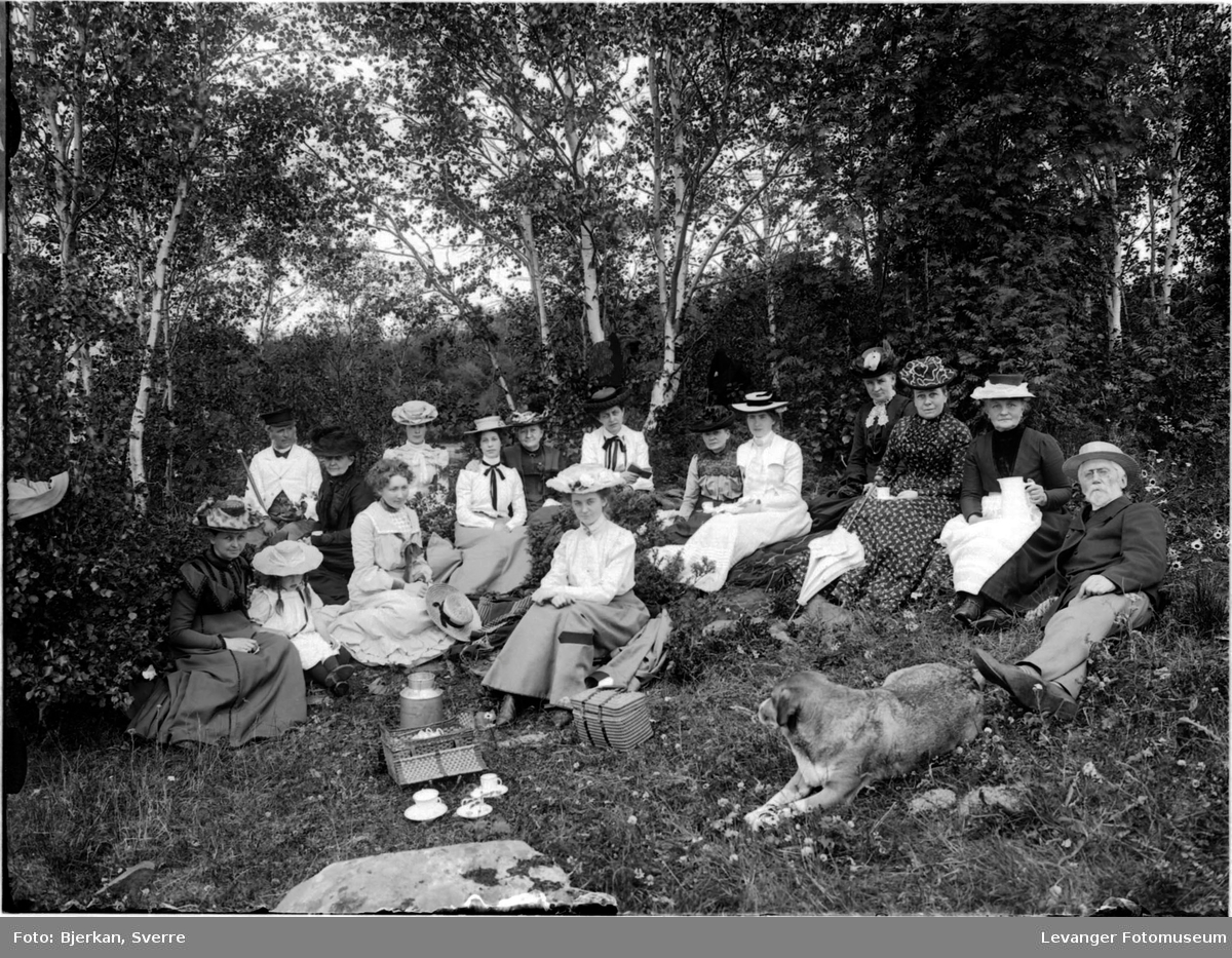 Piknik i bjørkeskogen,