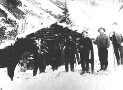 Skogsarbeidere, Skogskoie