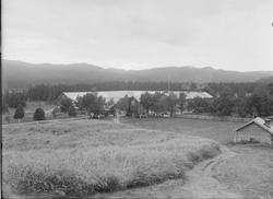 Garnes gård sett fra øst med løe og kornåker i forgrunnen.
