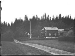 Skogly ved Skjækerfossen i Verdal.