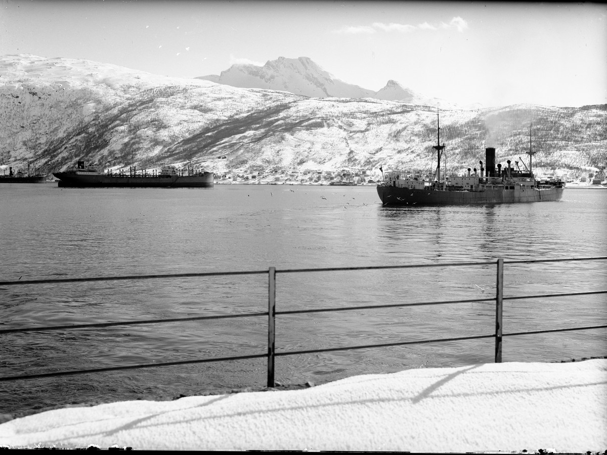 Narvik Havn m/Dronningen sett fra malmkaien. Malmbåpter på Narvik Havn.