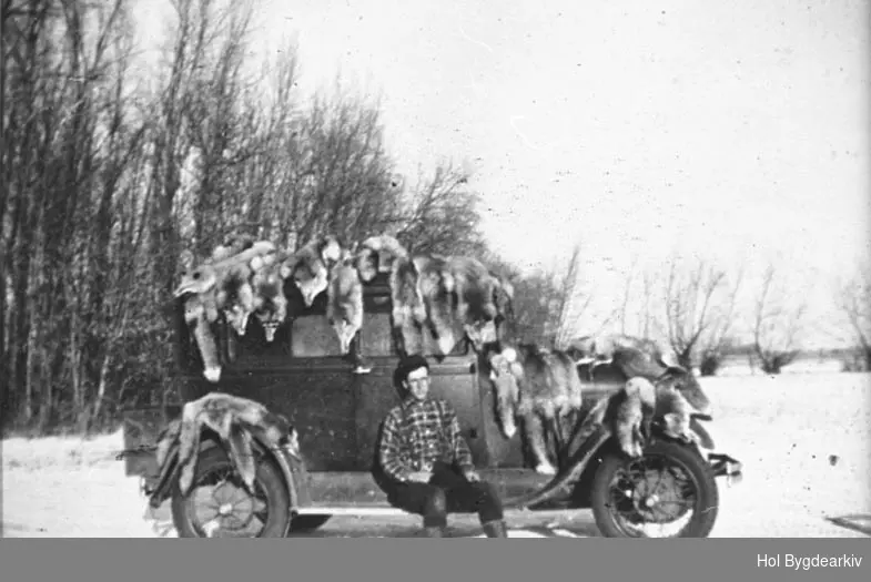 Jakt. pelsjakt, fellejakt, rev, prærieulv, pelsjeger, skinn, Ford 1928-29