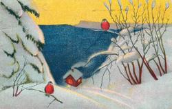 Julekort. Tegning. Vinterlandskap med dompap. Poststempla 19