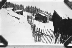 Jøta med fjøs og stall.