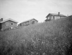 Seterhus mulig på Sødorpkjølen.