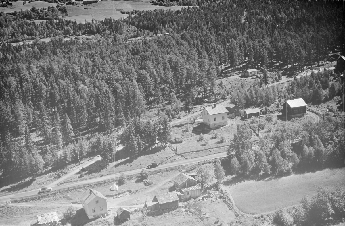 Langvik gård, Østsida, Øyer, 16.07.1959, kulturlandskap, foto viser to bruk, Langvik til høyre, blandingsskog