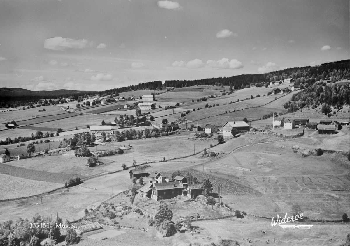 133151 Musdal Widerøe - Maihaugen / DigitaltMuseum