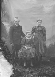 Portrett, Asbjørn Ranums barn, en gutt, to jenter. Ei jente 