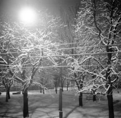 Parken ved Sagene Kirke. Desember 1951