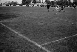 ."Molde FK, MFK, Molde fotballklubb"