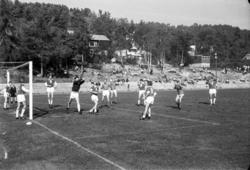 ."Molde FK, MFK, Molde fotballklubb"