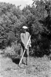 Ljå, slåttonn, arbeidsteknikk, slåttekar,