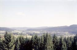 Landskap med skog og gårder