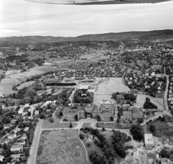 Universitetet: Blindern. Flyfoto. August 1961