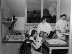 Universitetets institutt for eksperimentell medisin. Institu