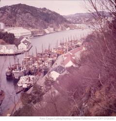 Utsikt over Vågen, Kontrari og Lindøya i Egersund sett fra V