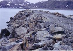 Moloen i Kongsfjord.