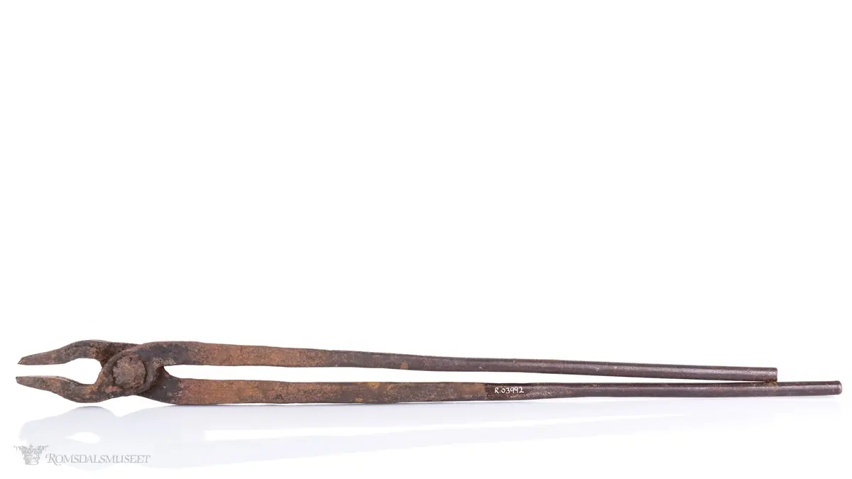 Ulik lengde og tykkelse på armer. Rund innerst i kjeften. Åpen spisset kjeft ytterst.