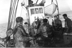 MK Brødrene fra Sør-Aukra