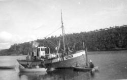 MK Nybonia, MK Nybonia med nota ute.